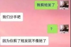 偃师债务清欠服务